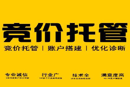 关键词优化技巧，SEM案例深度剖析